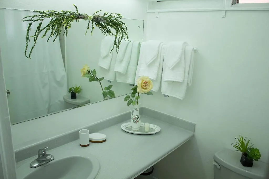 Kingston Luxury Condo Apartment 0*,